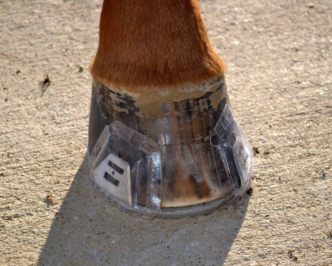 What are Hanton Horseshoes?