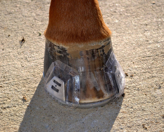 What are Hanton Horseshoes?