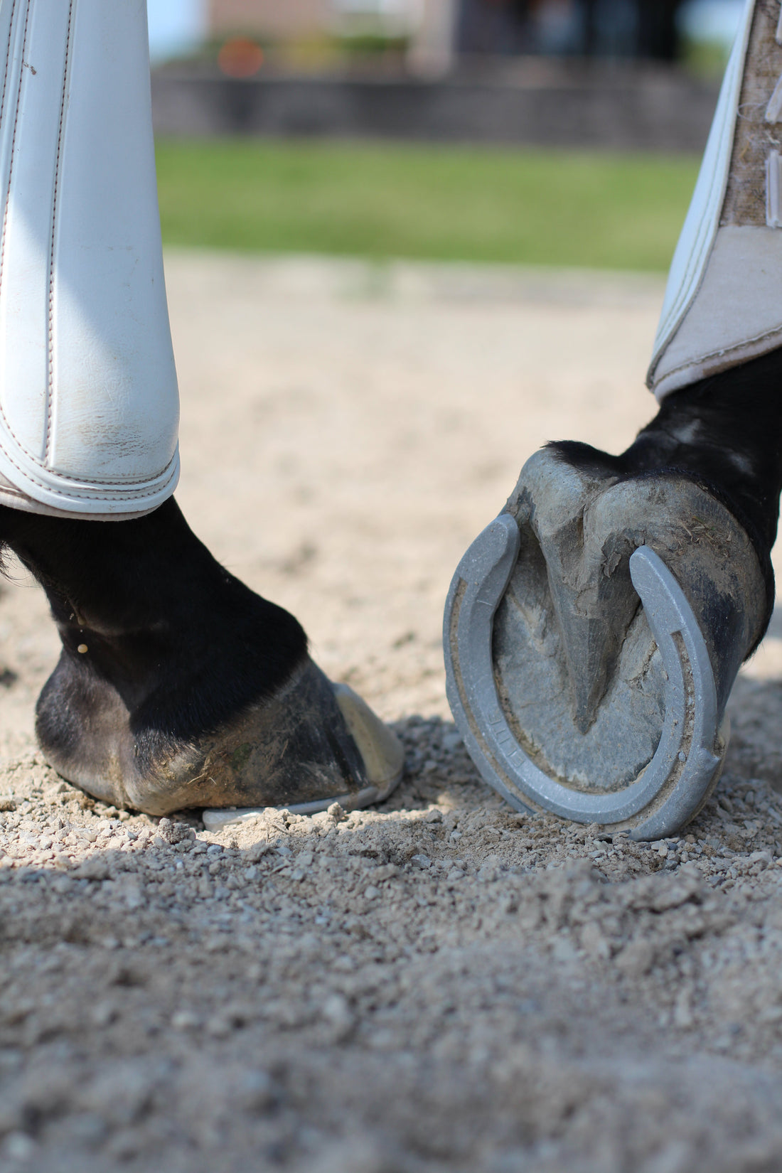 The Story Behind Hanton Horseshoes