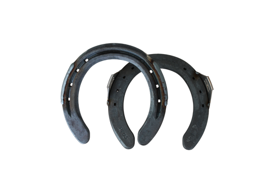 Hanton St. Croix Eventer Plus Steel (Front)