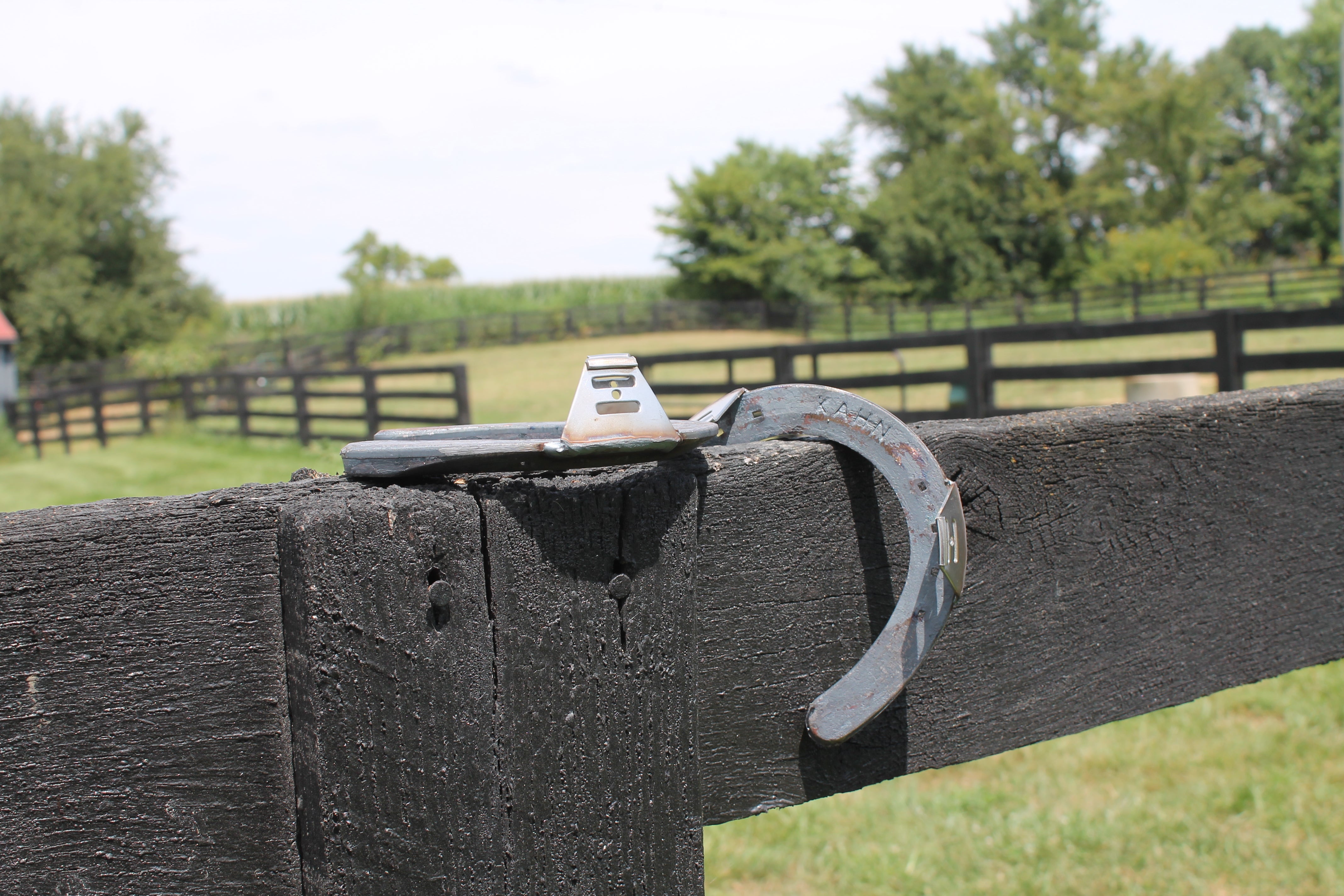 Hanton Kahn Omni Steel (Front) – Hanton Horseshoes