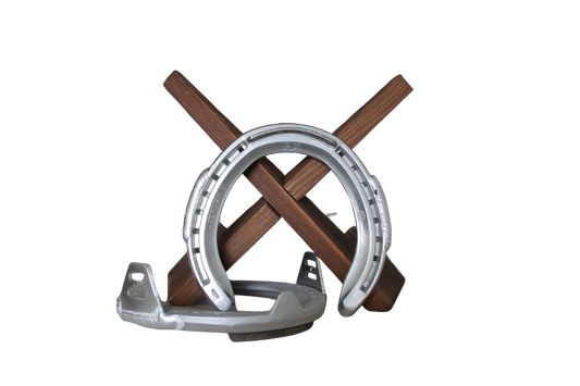 Hanton Victory RX (Hind)